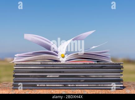 Open book with pages in the wind and a daisy as a bookmark, resting on a stack of books, outdoors, against blue sky Stock Photo