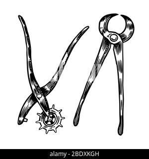 pliers or ticks, Universal Tool or instrument, tongs for shoe repair or household. Vintage label. Hand drawn engraved sketch for T-shirt, logo or Stock Vector