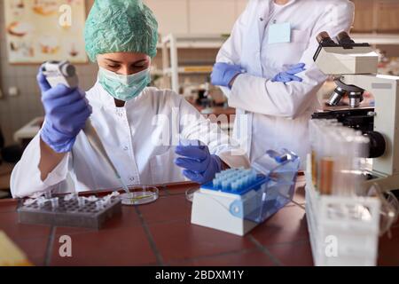 Lab technician with pipette taking sample of blood for testing on cov Stock Photo