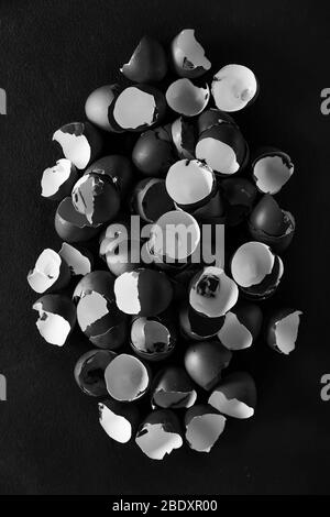Black and white photo. Easter and Lent concept. A pile of fragments of eggshells on a black background. Stock Photo