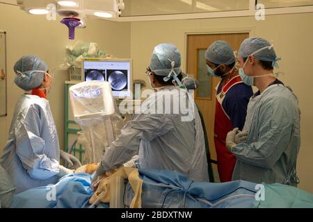 Surgeons check a scan on an X-ray machine to see if a metal plate in a leg is correctly positioned. The NHS is under pressure due to Coronavirus. Stock Photo