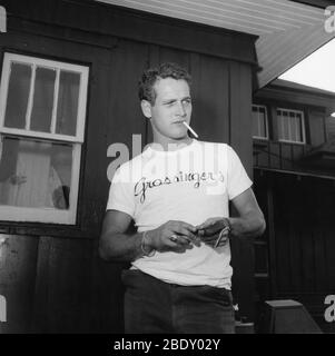 Paul Newman Stock Photo