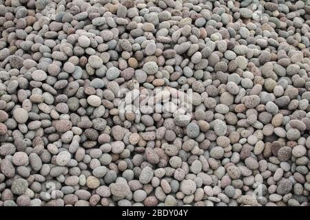 Bunch of small gray round pebblestones. Beach stones on a pile Stock Photo