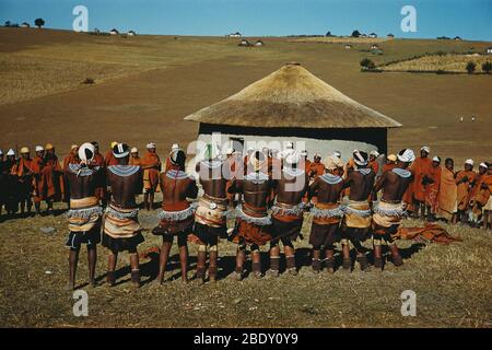 Xhosa Dancers, South Africa Stock Photo