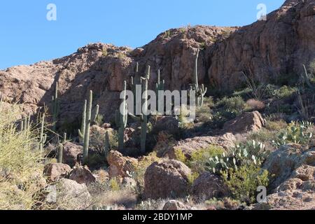 A rugged, mountainous desert landscape in Superior, Arizona, USA Stock Photo