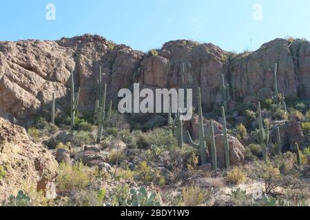 A rugged, mountainous desert landscape in Superior, Arizona, USA Stock Photo