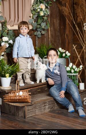 Two charming boys play with a rabbit in a Studio Stock Photo