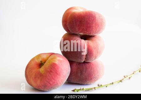 Flat peaches isolated on white background with dougnut peach branch in foreground - image with selective focus Stock Photo