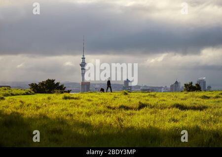 Auckland, New Zealand - Jul 03, 2017: A dog walker in silhouette as he walks on Mount Eden with the Sky Tower in the background as a storm clouds blow Stock Photo