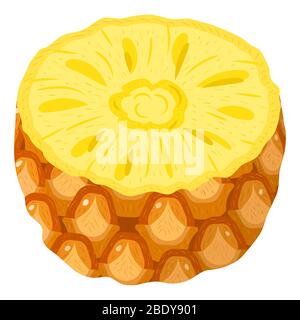 Fresh half pineapple fruit isolated on white background. Summer fruits for healthy lifestyle. Organic fruit. Cartoon style. Vector illustration for an Stock Vector
