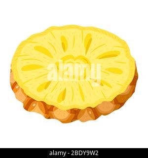 Fresh cut slice ring pineapple fruit isolated on white background. Summer fruits for healthy lifestyle. Organic fruit. Cartoon style. Vector illustrat Stock Vector