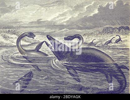 Jurassic Plesiosaurus and Ichthyosaurus Stock Photo