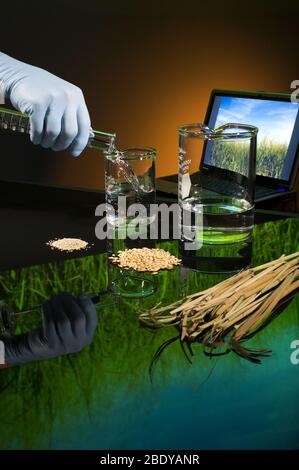 Ethanol Research Stock Photo