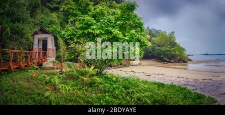 Footbridge at Penang national park at rainy day, Malaysia. Panorama Stock Photo