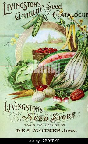 Livingston's Seed Store, 1899 Stock Photo