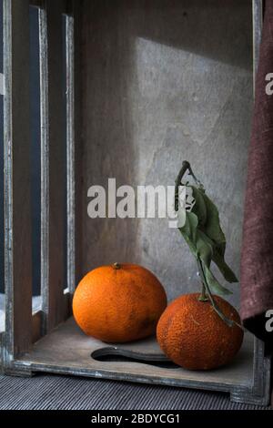 Two dried tangerines in an inverted wooden decorative box on a black background. Copy space Stock Photo