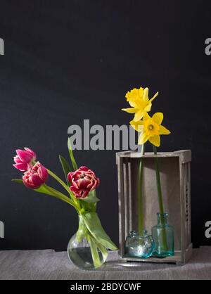 the narcissus in an inverted grey wooden decorative box, three tulips in the vase and empty small bottles on a black background. Copy space