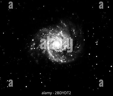 Grand Design Spiral Galaxy, M74, NGC 628 Stock Photo