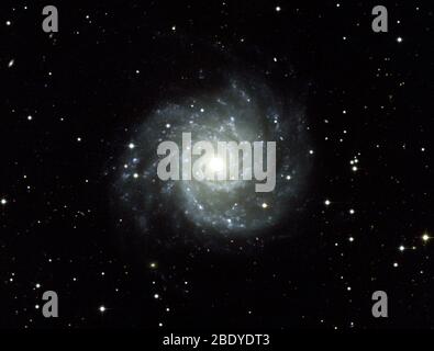 Grand Design Spiral Galaxy, M74, NGC 628 Stock Photo