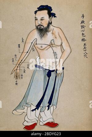 Chinese Acupuncture Chart, 18th Century Stock Photo