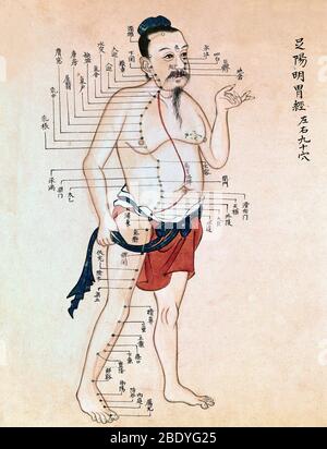 Chinese Acupuncture Chart, 18th Century