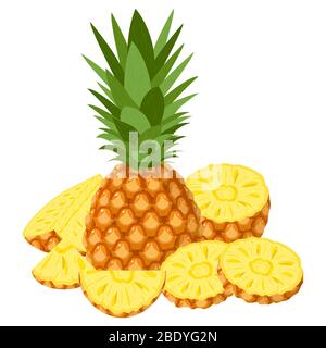 Fresh whole, half and cut slices pineapple fruit isolated on white background. Summer fruits for healthy lifestyle. Organic fruit. Cartoon style. Vect Stock Vector