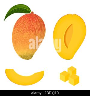 Set of fresh whole, half, cut slice mango fruits isolated on white background. Summer fruits for healthy lifestyle. Organic fruit. Cartoon style. Vect Stock Vector