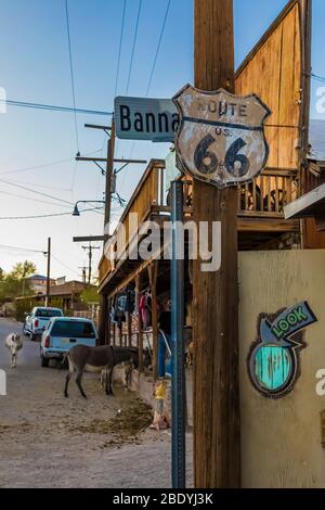 Burros, descendents of those from the old gold mining days,   coexist among tourists and businesses along Historic Route 66 in Oatman, Arizona, USA Stock Photo