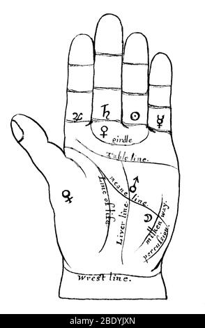 Palmistry / Chiromancy / Cheiromancy / Palm Reading / Chirology- An ...