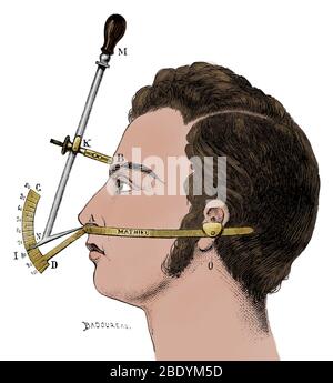 Bertillon's Anthropometry, 1883 Stock Photo