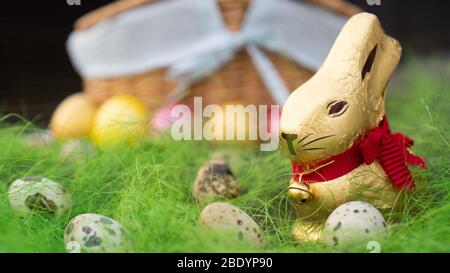 Easter chocolate bunny and brown quail eggs on green grass. Stock Photo