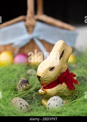 Sweet Easter rabbit looking for eggs on green grass. Easter background. Stock Photo