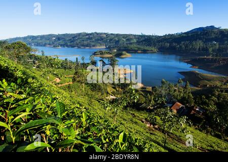 The Castlereigh Dam is a gravity dam built across the Kehelgamu Oya, a major tributary to the Kelani River, approximately 3 km south-west of Hatton, i Stock Photo