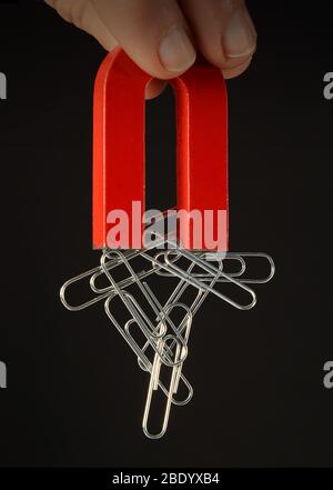 Magnet with Paper Clips Stock Photo