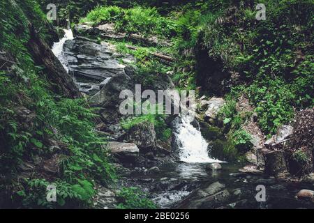 Mountain river waterfall among stones, green grass and ferns Stock Photo