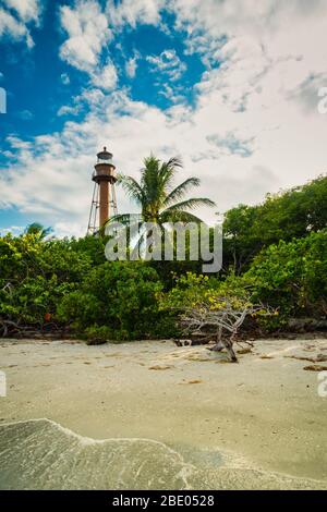 Historic lighthouse on shell beach with driftwood and palms in Sanibel island Florida. Sunny day with green vegetation. No people visible. Stock Photo