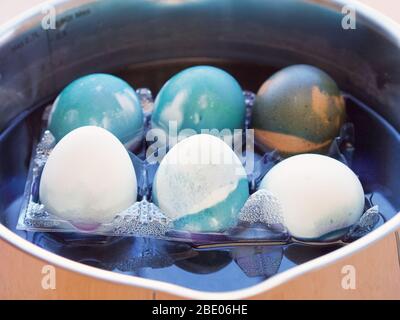 Homemade easter eggs during coloring process, colored with a red cabbage natural colour juice in a pot closeup. Stock Photo