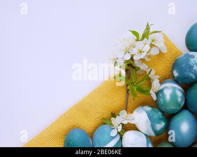 Easter eggs colored with a red cabbage natural colour on a white and yellow background with blank space decorated with spring flowers closeup. Stock Photo