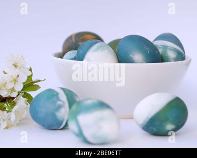 Easter eggs colored with a red cabbage natural colour on a white background with blank space decorated with white spring flowers in a light blue bowl. Stock Photo