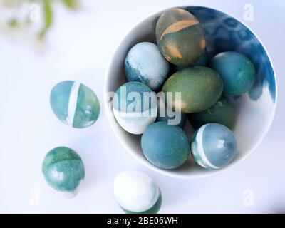 Easter eggs colored with a red cabbage natural colour on a white background with blank space decorated with white spring flowers in a light blue bowl. Stock Photo