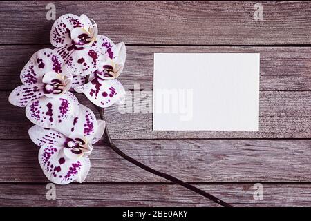 purple and white orchid flowers with blank card on wooden background Stock Photo