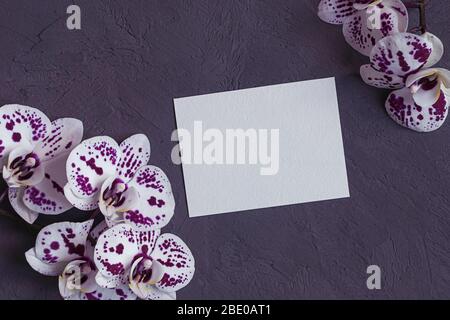 pink and white orchid flowers with blank paper card on gark gray background Stock Photo