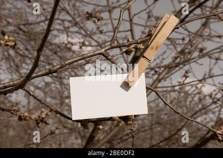 Blank white memo sheet clipped with landry pin on sunny spring tree sepia colored background. Memo write copy space card hanging Stock Photo