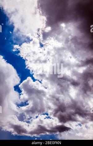 Unusual cloud formations against clear cobalt blue sky; central Colorado; USA Stock Photo