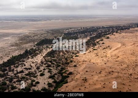 aerial view of the desert showing a river bed and its vegetation Stock Photo