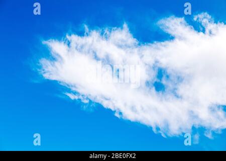 Unusual cloud formations against clear cobalt blue sky; central Colorado; USA Stock Photo