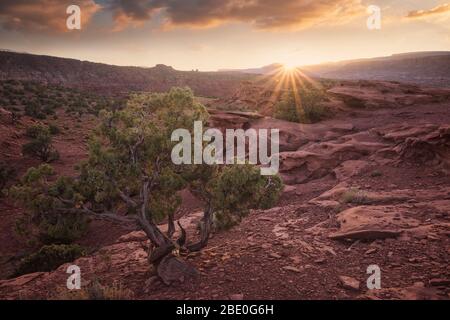 Capitol reef national park environment at sunset Stock Photo