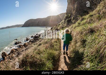 Preschooler walking on seaside mountain path on sunny day in New Zealand