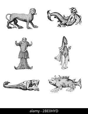 Woodcuts of sea monsters from Des Monstres et prodiges by Ambroise Paré, 1573, clockwise from top left: 'marine lion covered in scales', 'hideous figure of a Sea Devil', 'marine monster resembling a Bishop dressed in his pontifical garments', 'marine sow', 'marine monster having the head of a bear and the arms of a monkey', 'marine monster having the head of a Monk, armed and covered with fish scales'. Des Monstres is filled with unsubstantiated accounts of sea devils, marine sows, and monstrous animals with human faces. With its extensive discussion of reproduction and illustrations of birth Stock Photo
