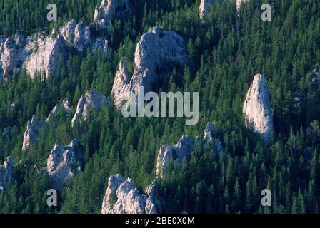 Limestone outcrops from Refrigerator Canyon National Recreation Trail, Helena National Forest, Montana Stock Photo